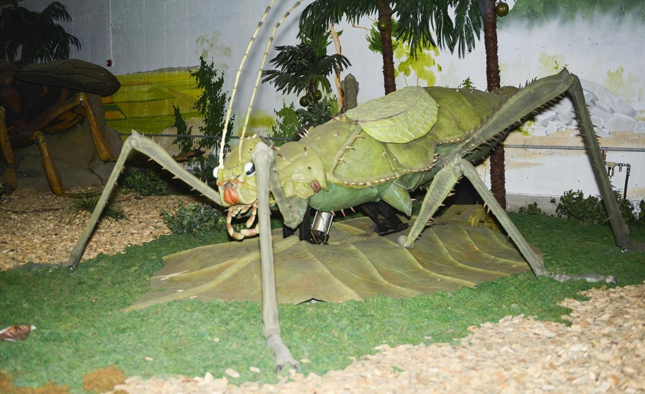 곤충 테마 전시관