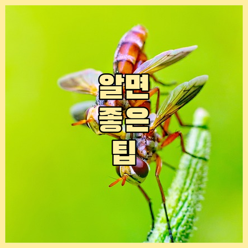 신한은행 적금 자동이체 완벽 가이드: