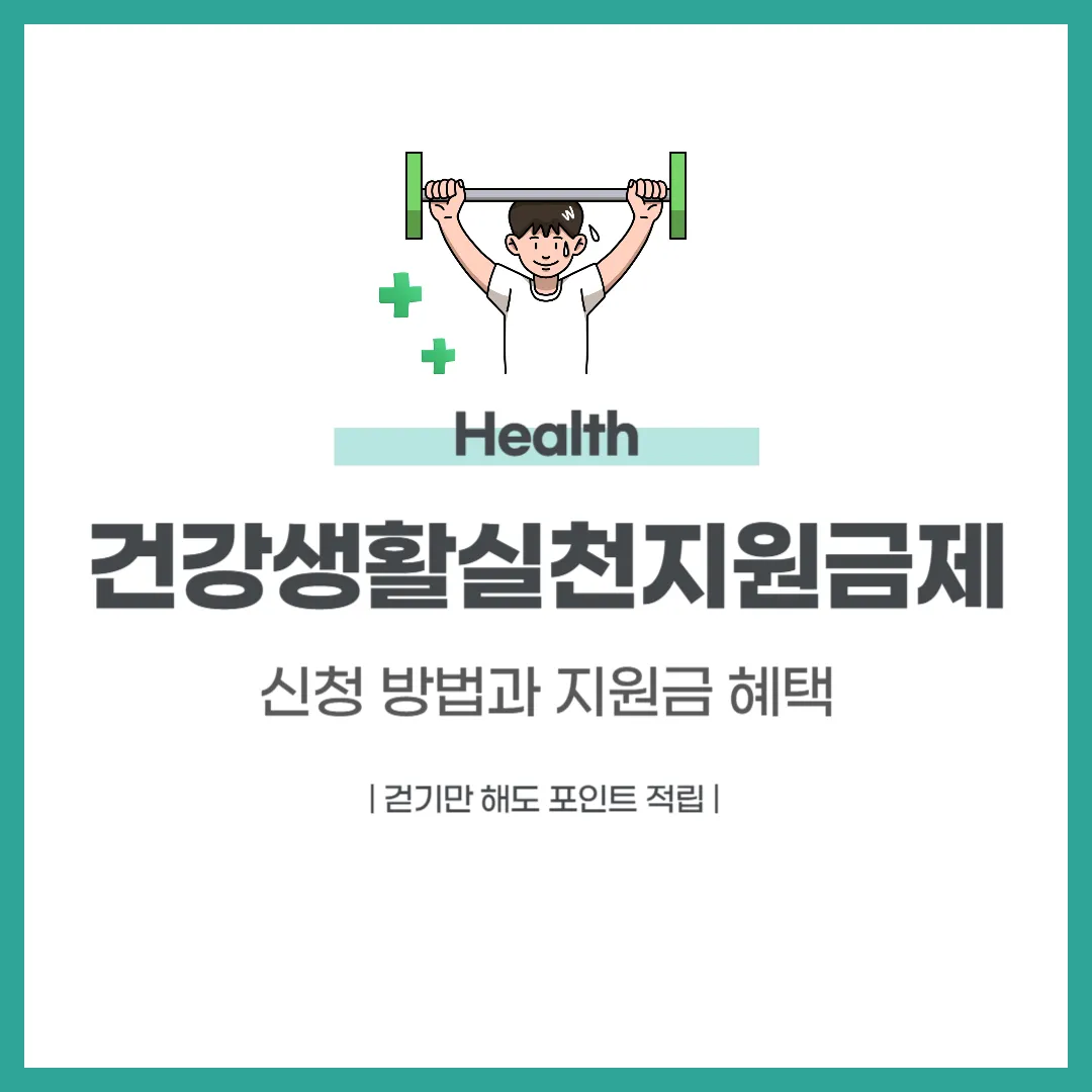 건강생활실천지원금제
