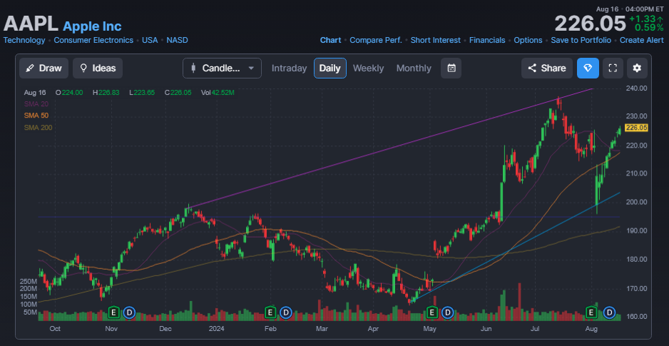 AAPL 주가 (워렌버핏 주식)