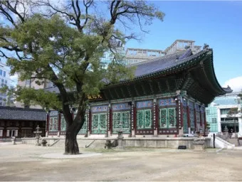 서울 대표 사찰 5곳을 소개하는 종합 여행 가이드_4