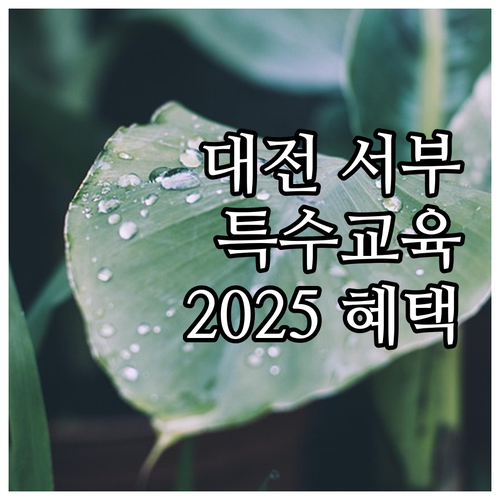 대전 서부 특수교육 방과후 프로그램,..