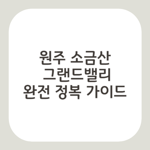 원주 소금산 그랜드밸, 출렁다리 케이블카 스카이워크 완벽 정복 가이드
