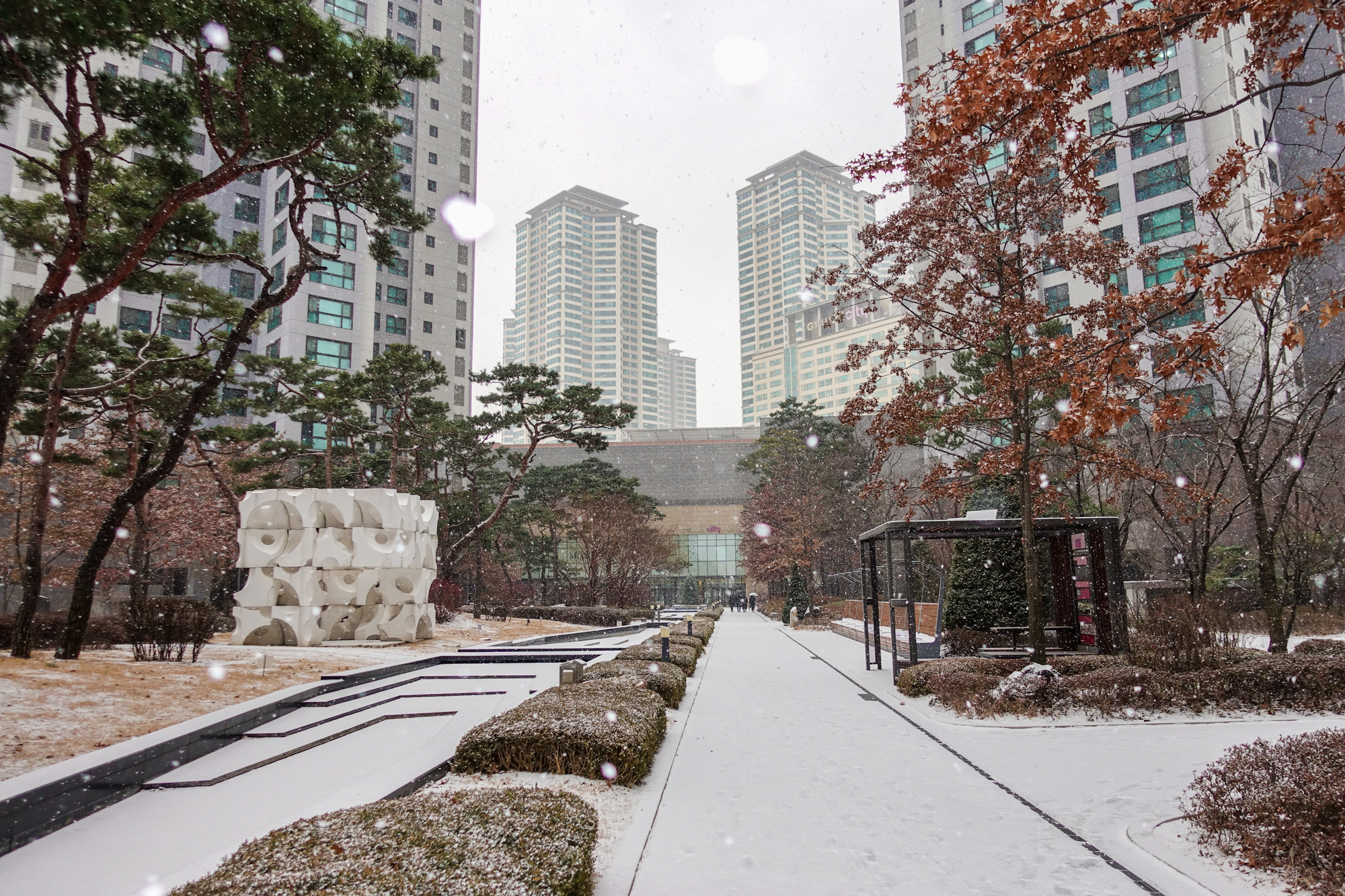 snow34