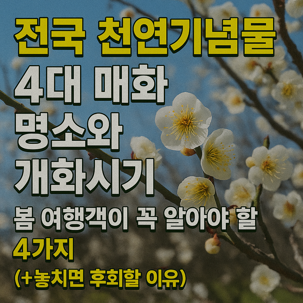 4대 매화 명소