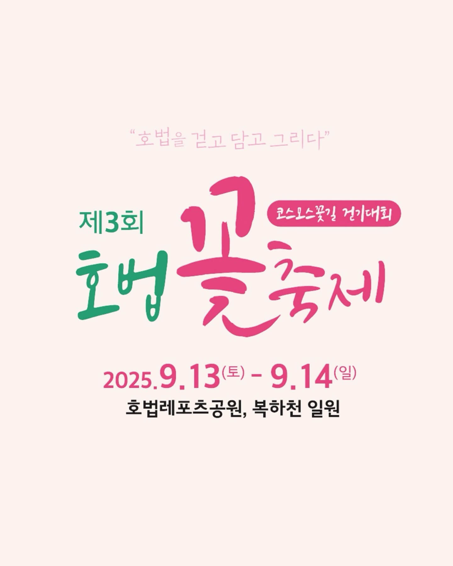 이천 호법 코스모스 꽃축제