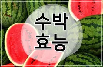 수박 효능_4