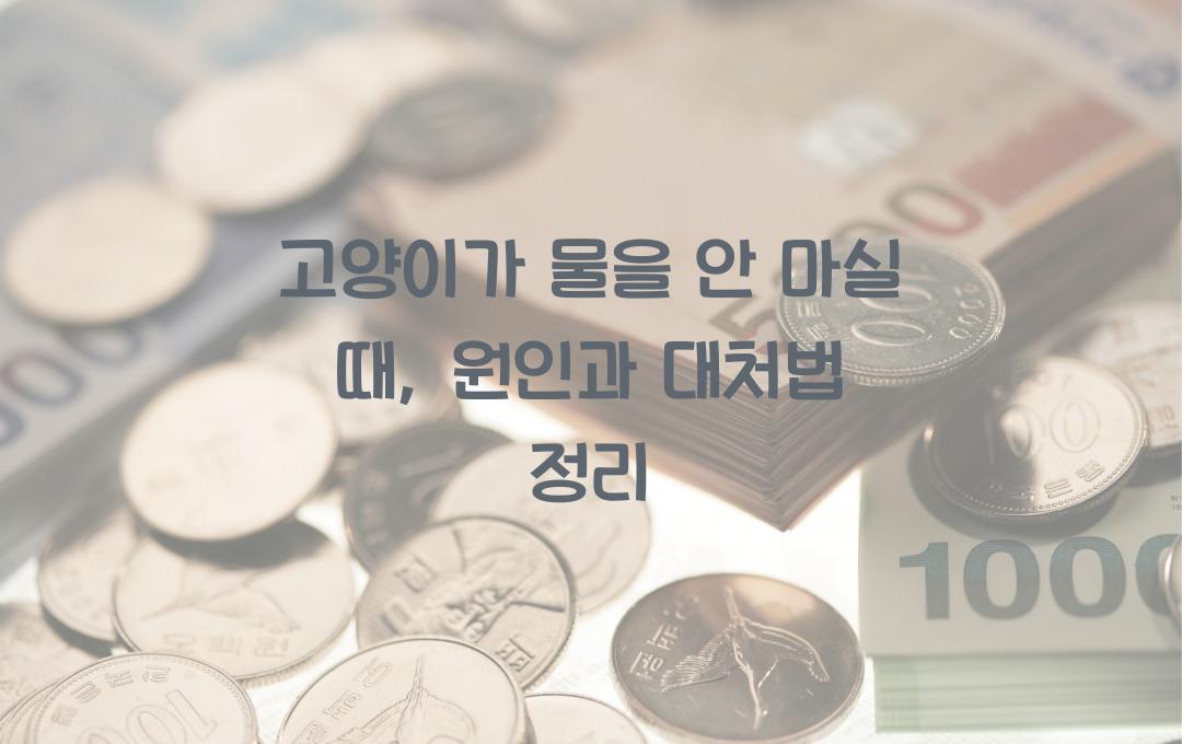 고양이가 물을 안 마실 때, 대처법 정리