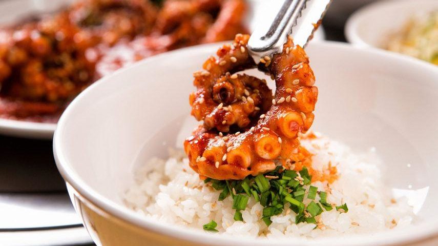 낙지 요리 레시피 총정리