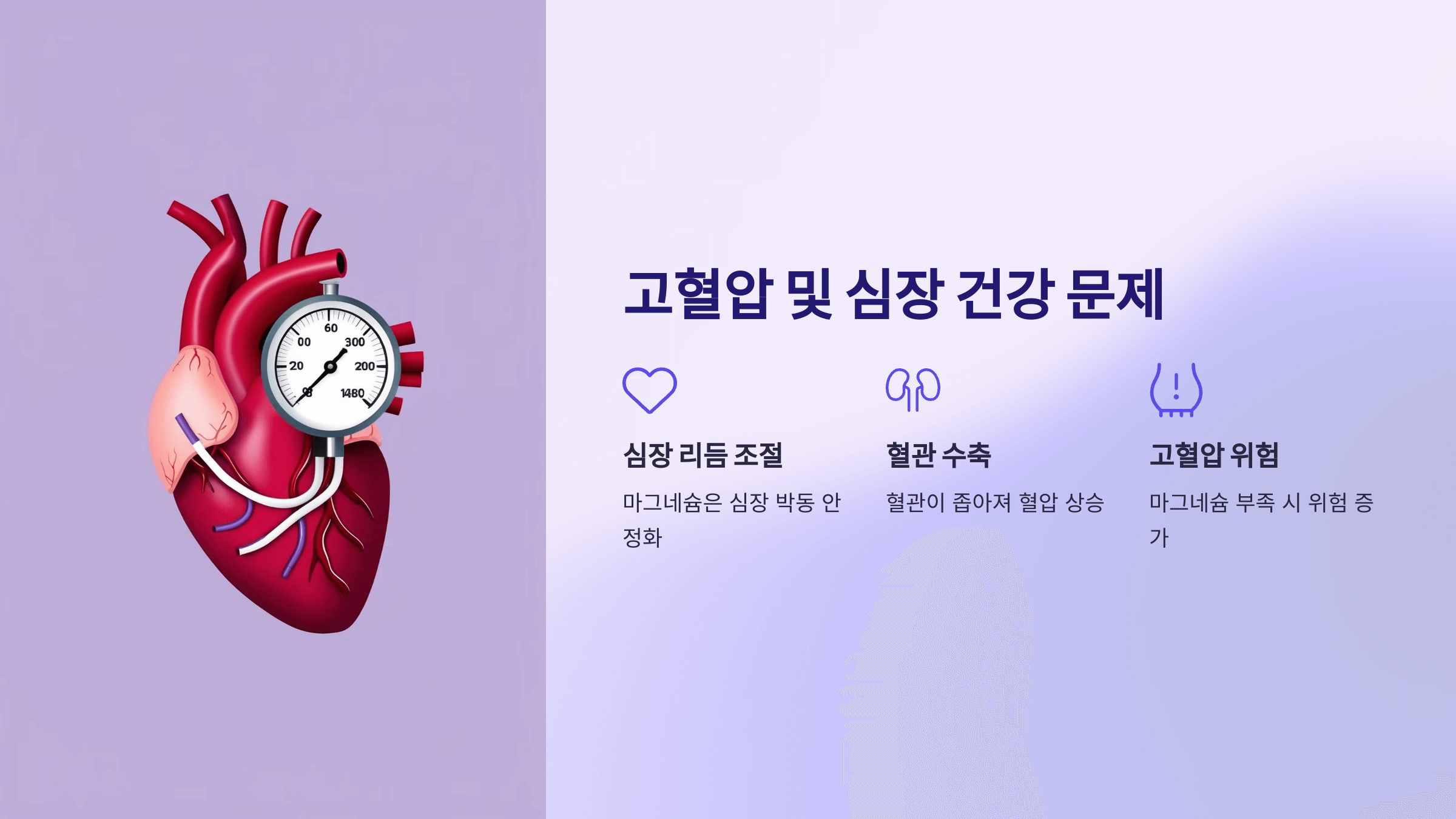 마그네슘과 관련된 사진입니다.