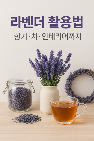 라벤더 활용법 – 향기·차·인테리어까지