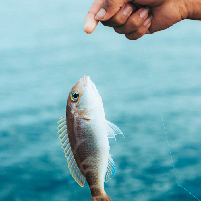 아들_남자아이_태몽_종류_해석