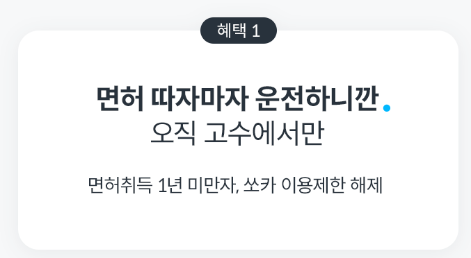 운전면허 1년 쏘카