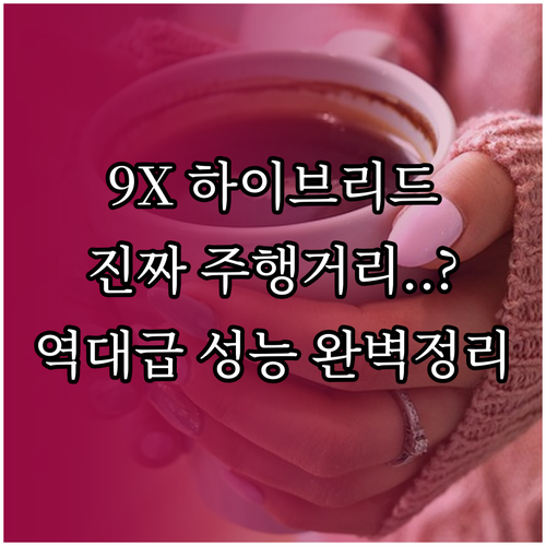 지커 9X 하이브리드 주행거리 총정리..