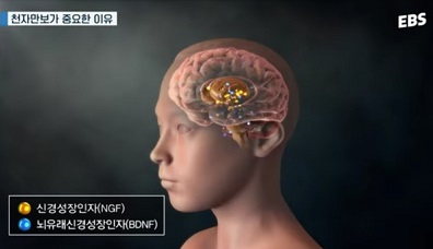 천자만보효과