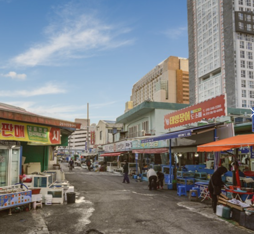 진해 가볼만한곳 베스트10