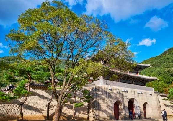 문경 가볼만한곳 베스트10