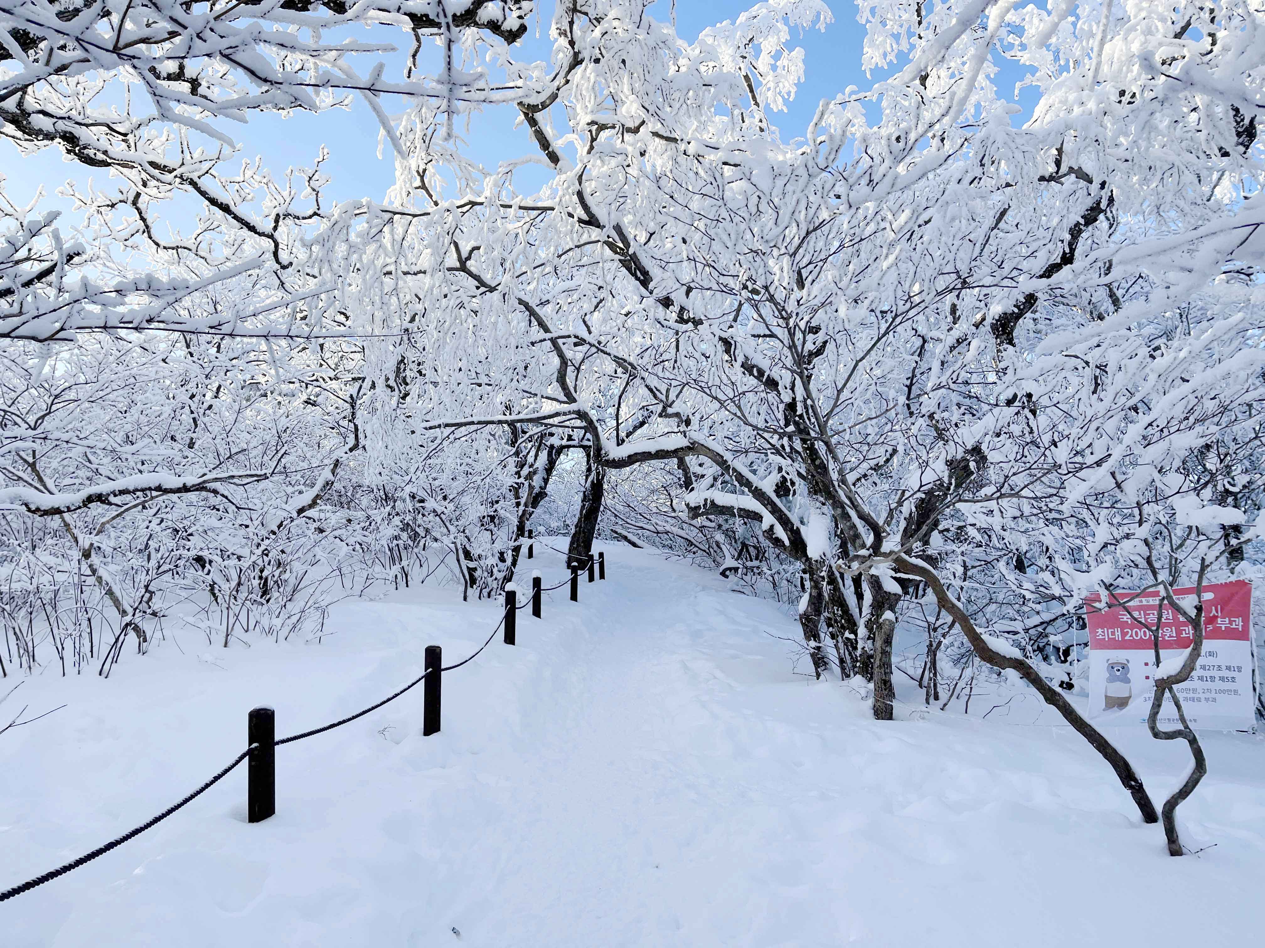 태백산