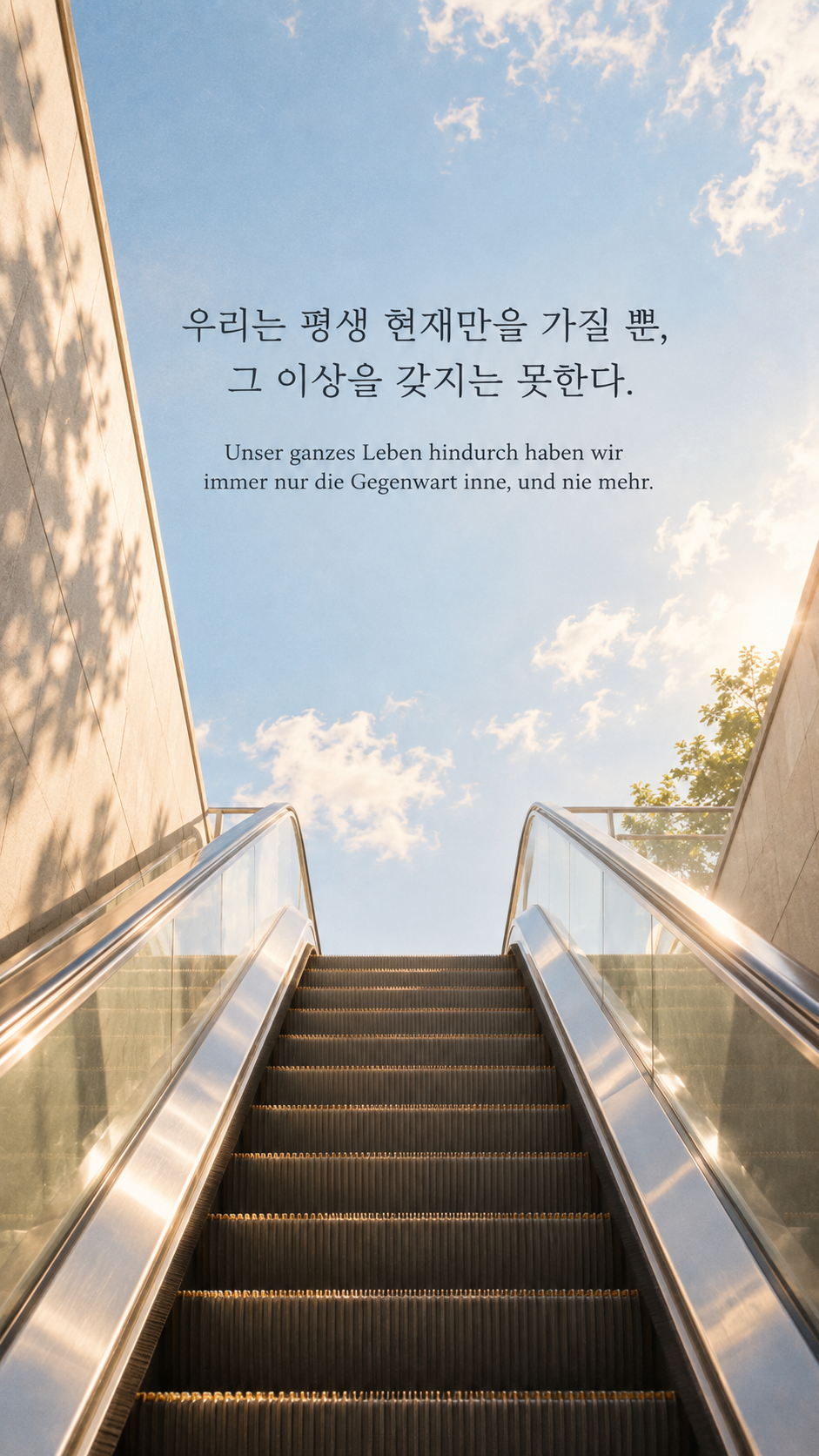 쇼펜하우어 명언 30 우리는 평생 현재만을 가질 뿐, 그 이상을 갖지는 못한다. 느리게 움직이는 햇빛 속 빈 에스컬레이터 배경의 한글&middot;독일어 이미지
