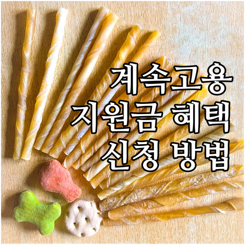 2025년 고령자 계속고용장려금: 기..