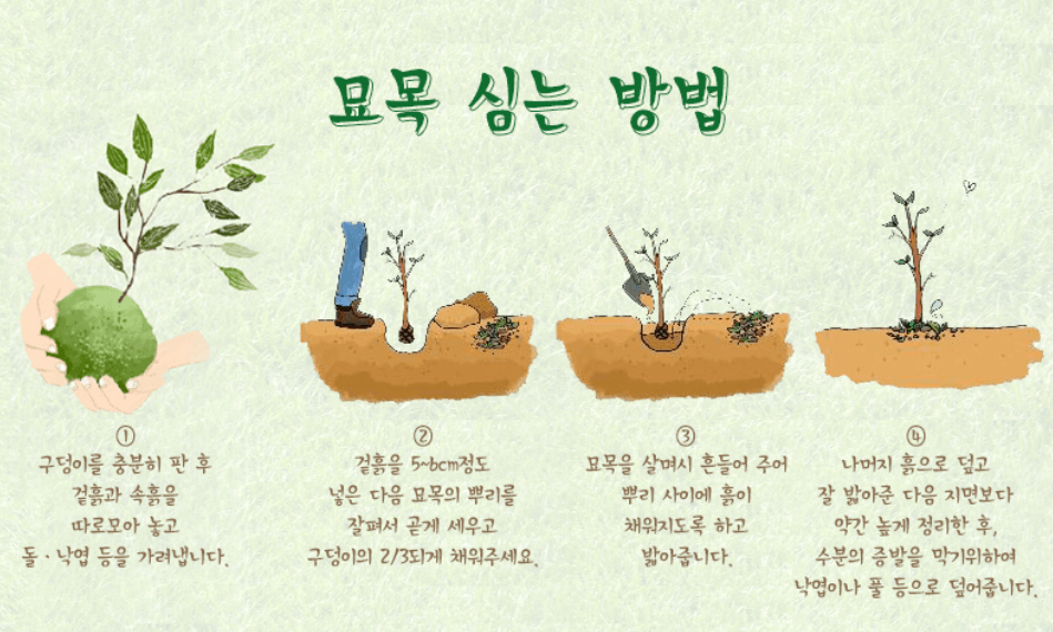 식목일 유래
