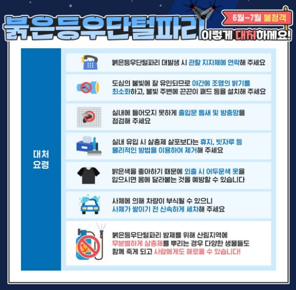 러브버그 퇴치