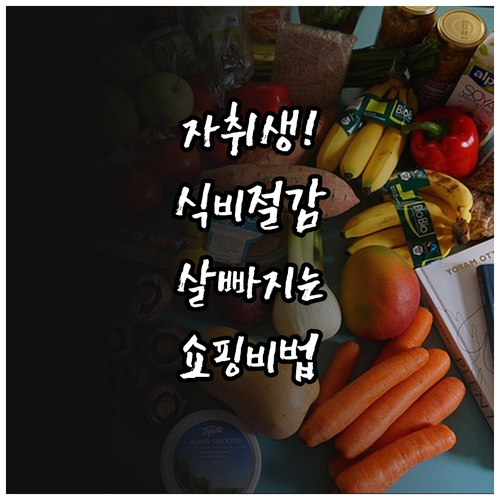 자취생 다이어트 성공을 위한 저렴한 ..