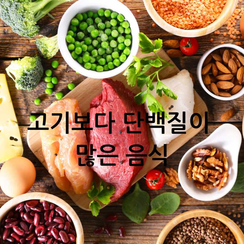 고기보다 단백질이 많은 음식