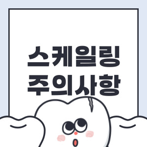 스케일링 후 주의사항