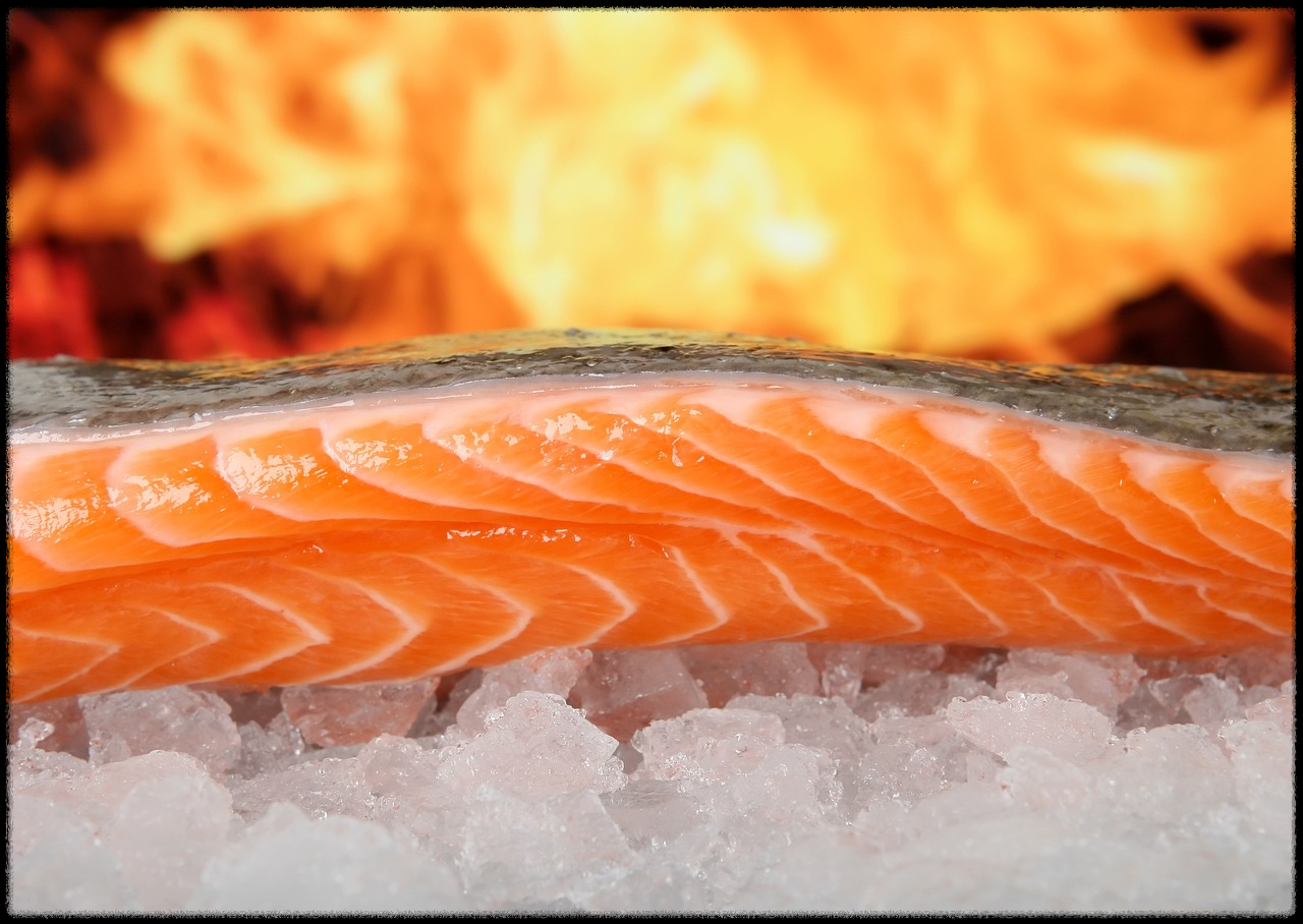 OMEGA-3 사진1