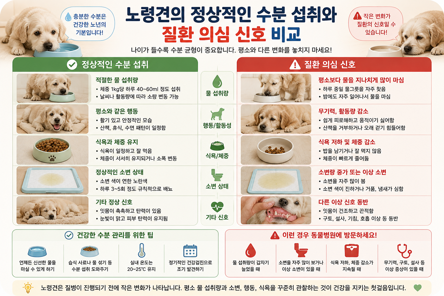 정상적인 수분 섭취와 주의해야 할 이상 신호 비교 이미지