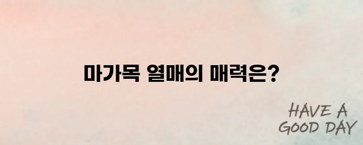 마가목 열매를 즐기는 방법 안내
