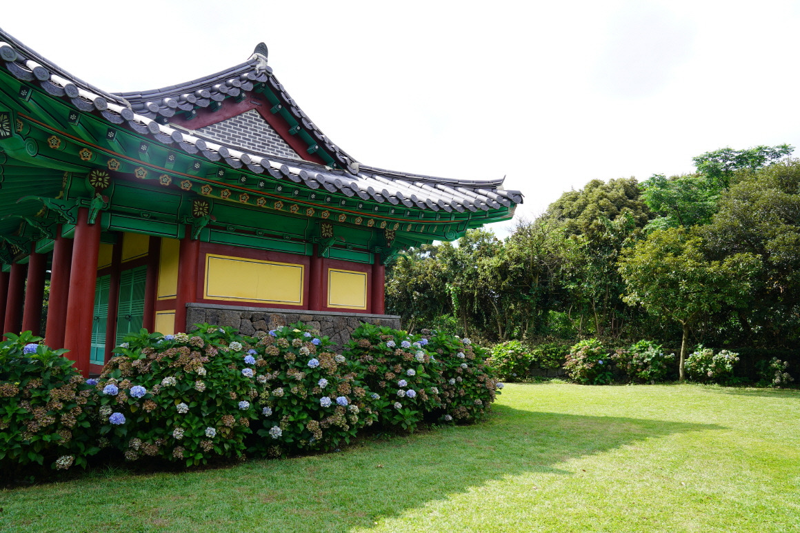 혼인지 관련 사진