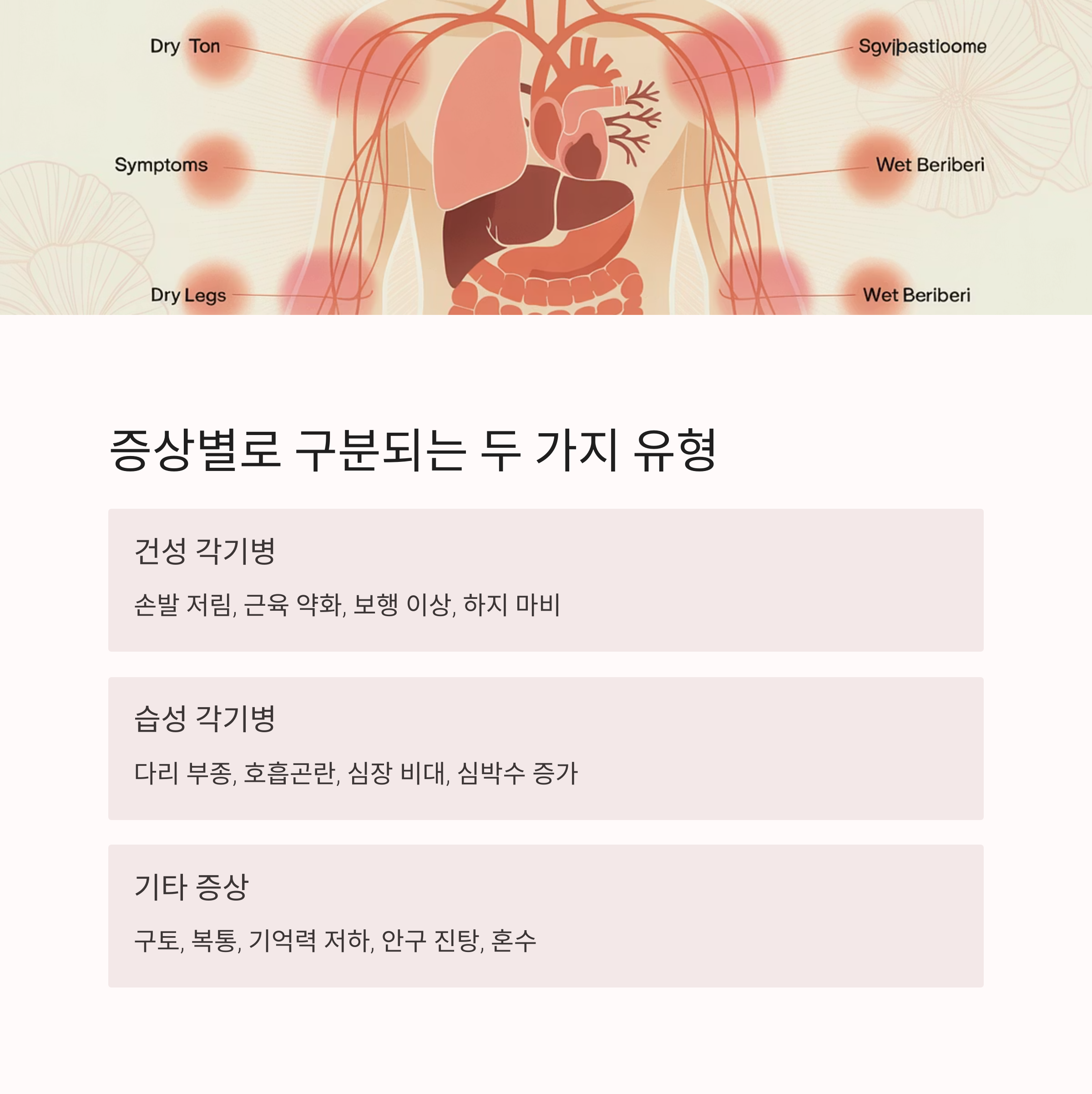 인체 장기 일러스트와 함께 건성 각기병과 습성 각기병의 증상 차이를 정리한 이미지