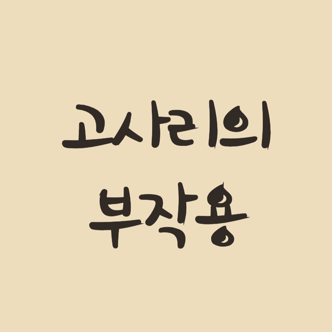 고사리의 부작용과 안전한 섭취방법