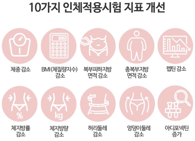 메타바이옴-v2-유산균-다이어트-효과