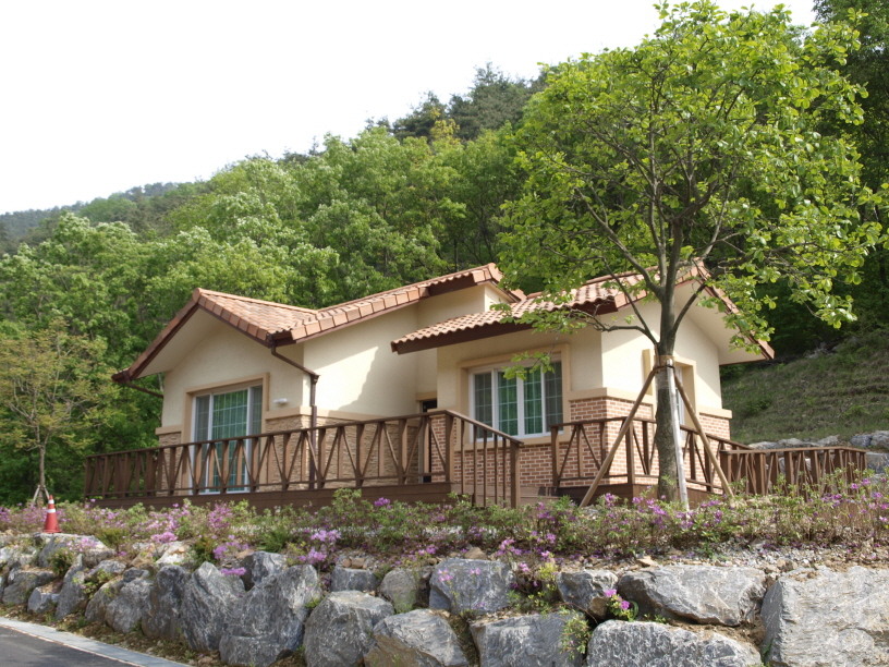 충북 괴산 성불산 자연휴양림 숲속 캠핑장 주변 맛집 카페 마트 시장 오일장 강아지 동반 정보