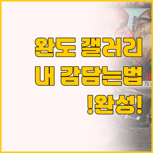 완도에서 완성하는 나만의 갤러리, 떠..