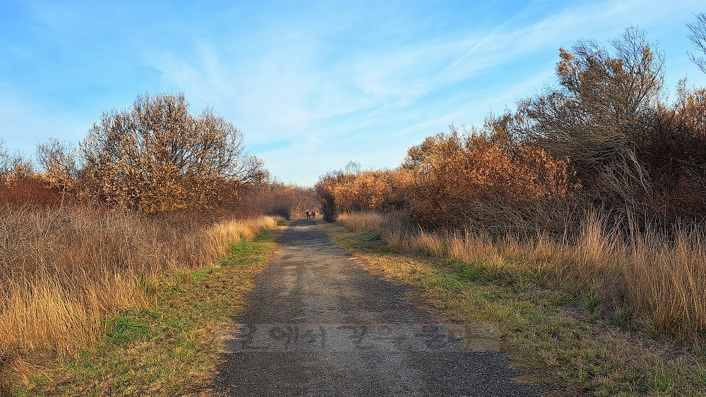 Coyote Hills Regional Park