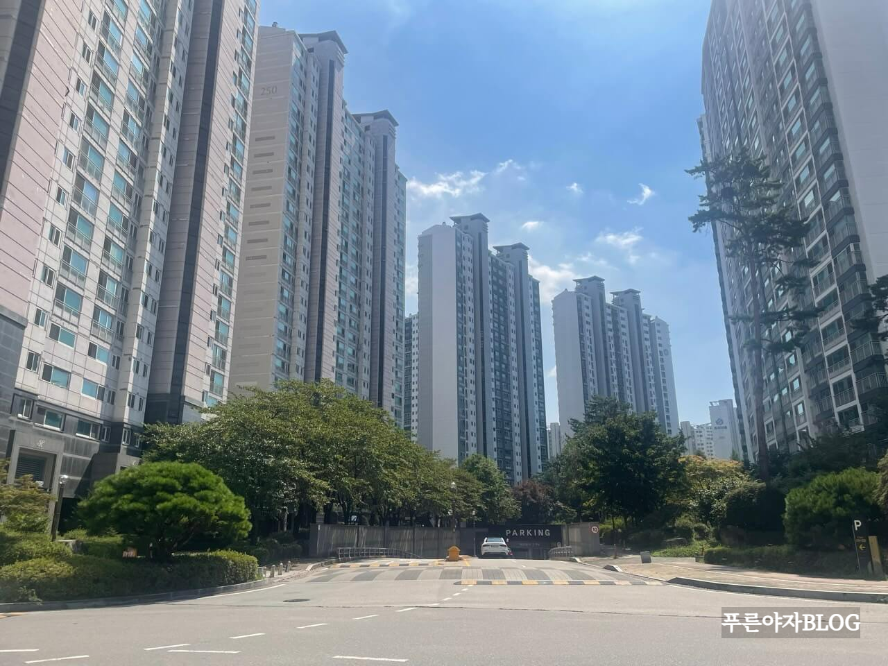 잠실 엘리트 엘스 리센츠 주공5단지 임장 후기