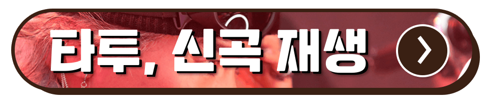 나훈아 콘서트 예매