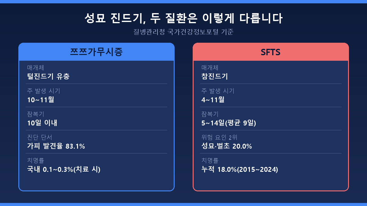 성묘 진드기 감염병 쯔쯔가무시증과 SFTS 비교표