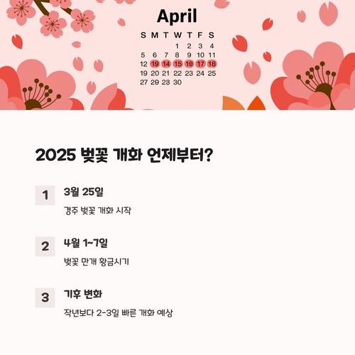 2025년 벚꽃 개화시기 예상