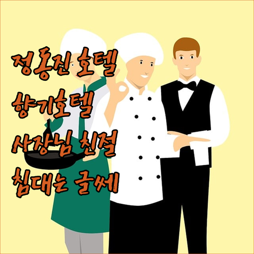 정동진 향기호텔 솔직 리뷰 친절한 사