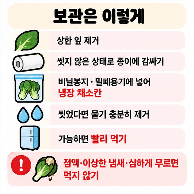 청경채를 종이로 감싸 냉장 채소칸에 보관하고 씻었다면 물기를 충분히 제거하며 오래 두지 않는 보관법 카드