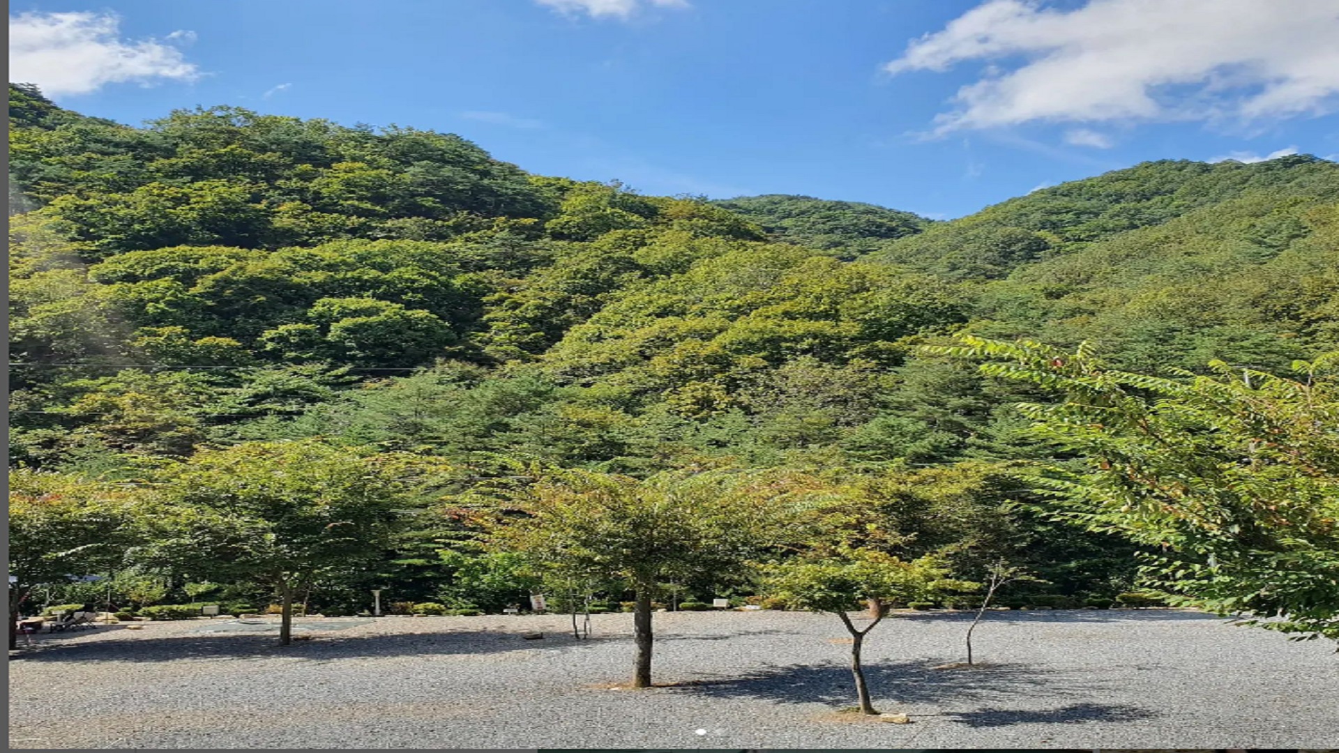 영월군 더 좋은 팬션 캠핑장 예약 바로가기
