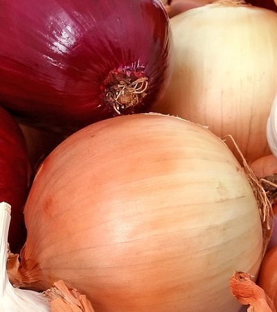 양파 효능 사진20