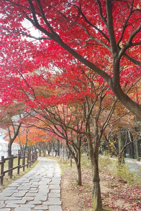 금오산 등산 코스