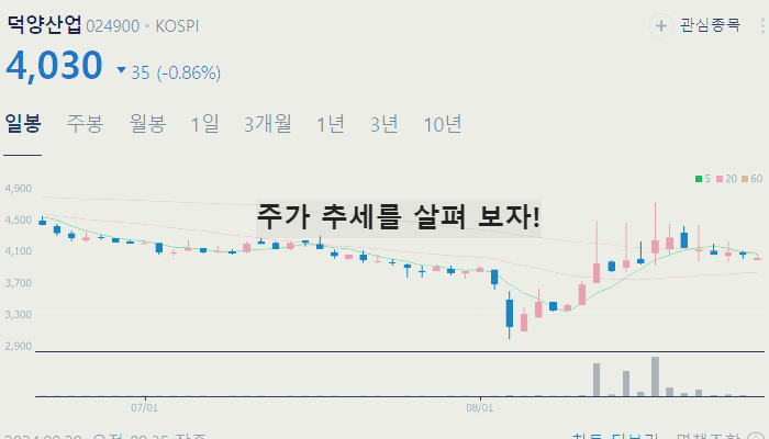 BMS 관련주 대장주 테마주 TOP10