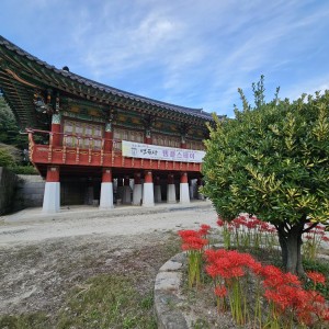 연곡사 탐방기 (지리산 자락, 조용한 걷기와 명상의 고찰)